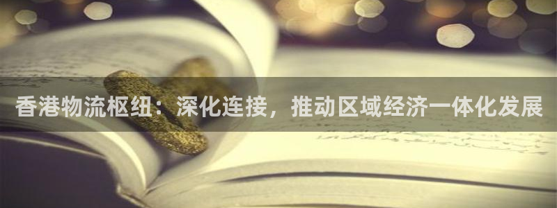 狗子28黑不黑：香港物流枢纽：深化连