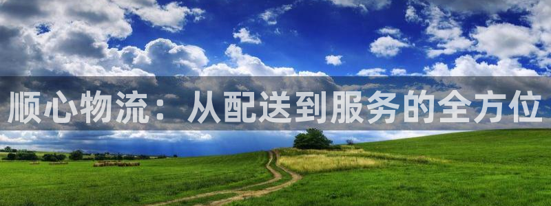 狗子28稳吗：顺心物流：从配送到服务