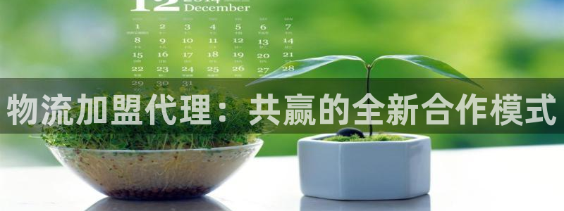 狗子28流水怎么算：物流加盟代理：共