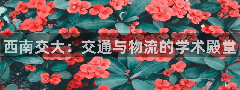 狗子28注册条件：西南交大：交通与物