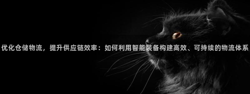 狗子28是什么软件：优化仓储物流，提