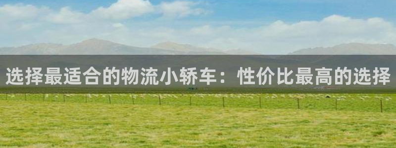 狗子28怎么注册：选择最适合的物流小
