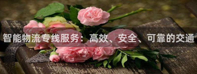 狗子28官网入口pc28：智能物流专线服务：高效、安全、可靠