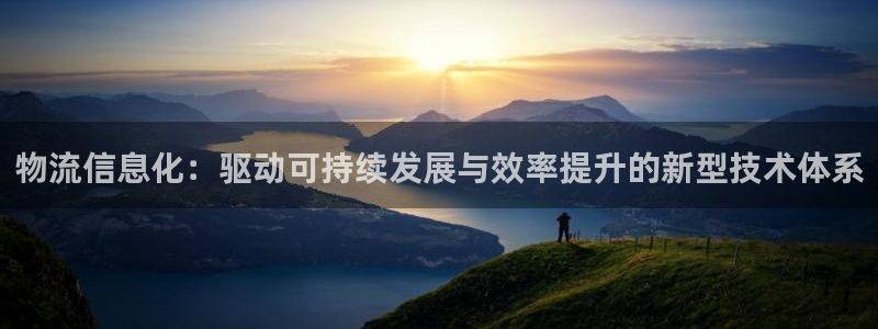 狗子28加拿大下载：物流信息化：驱动