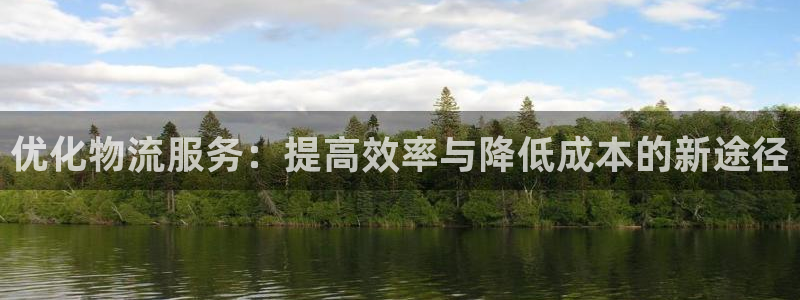 狗子28注册入口与教程：优化物流服务