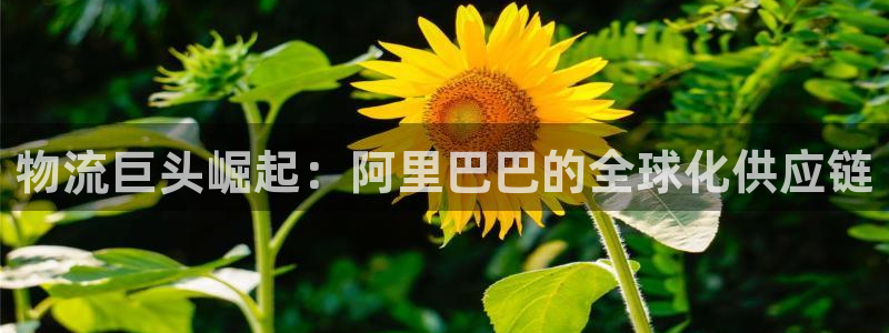 狗子28合法吗：物流巨头崛起：阿里巴