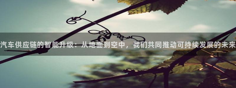 狗子28注册入口与教程：汽车供应链的