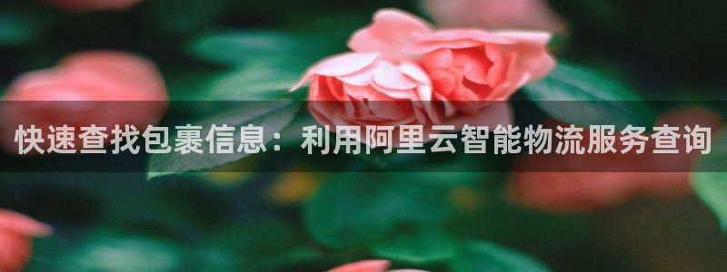 狗子28下载二维码怎么弄：快速查找包裹信息：利用阿里云智能物