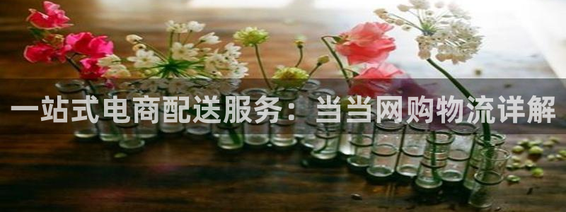 狗子28官网下载：一站式电商配送服务