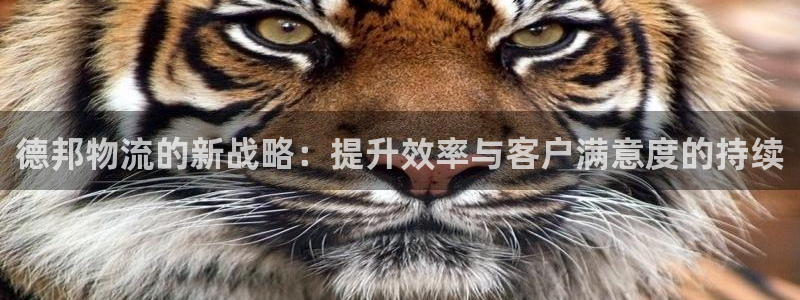 狗子28违法吗：德邦物流的新战略：提