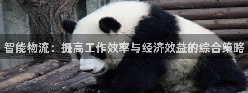 狗子28娱乐官网网页下载：智能物流：