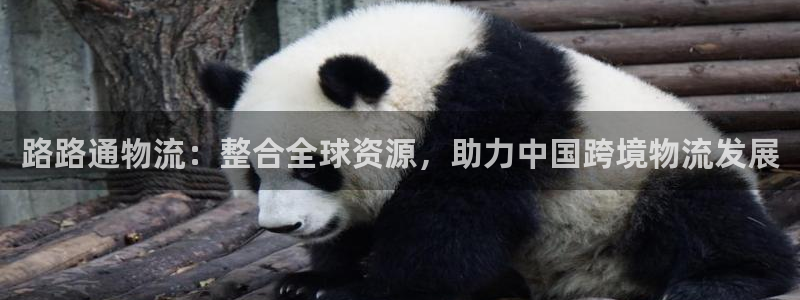 狗子28软件：路路通物流：整合全球资