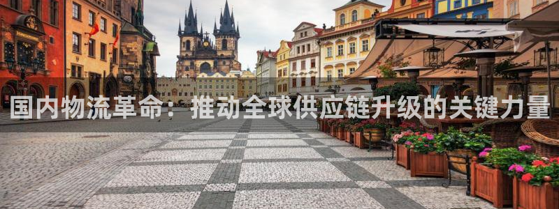 狗子28旗下：国内物流革命：推动全球