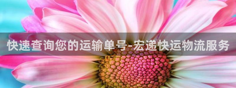 狗子28分分28预测：快速查询您的运