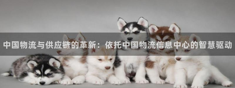 狗子28注册登录链接:中国物流与供应