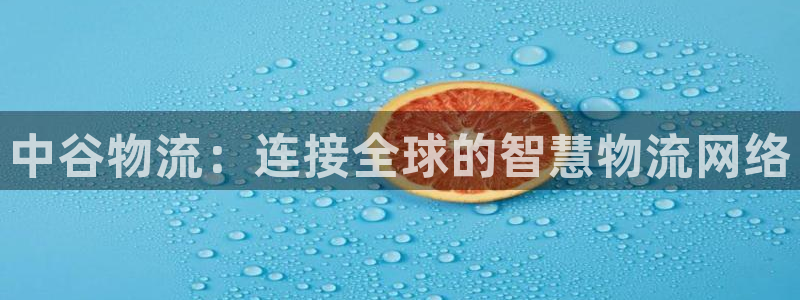 狗子28口：中谷物流：连接全球的智慧