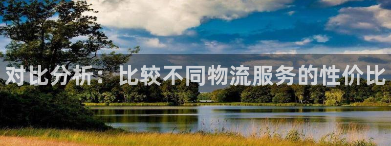 狗子28如何注销账号：对比分析：比较不同物流服务的性价比