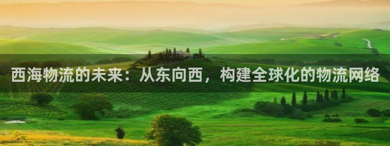 狗子28app赢了500万：西海物流的未来：从东向西，构建全