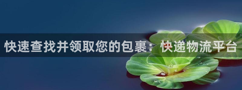 狗子28加拿大最新版:快速查找并领取